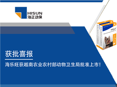 j9数字站动保2025年年中聚会圆满召开：政府者清，，，，，奋楫者进，，，，，共绘生长新蓝图_j9数字站动保